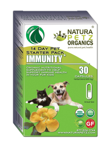 Immunity Starter Pack For Dogs & Cats* * Immune Health Pack For Dogs And Cats* Immunity Starter Pack For Dogs & Cats* * Immune Health Pack For Dogs And Cats*