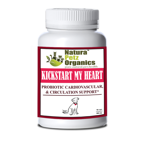 Kick Start My Heart Probiotic Heart (Cardiovascular) & Circulation Support* Kick Start My Heart Probiotic Heart (Cardiovascular) & Circulation Support*