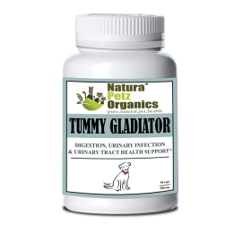 Tummy Gladiator - Digestion, Adjunctive Reflux & Urinary Tract Support* (size: Dog / 90 caps / 500 mg/Size 1)