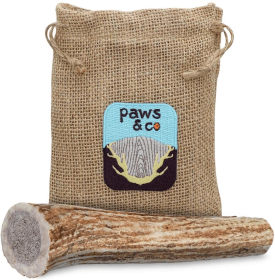 Whole Antler Chew (size: medium)