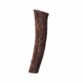 KONG(R) Wild Antler Whole (size: large)