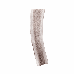 KONG(R) Wild Antler Split (size: large)